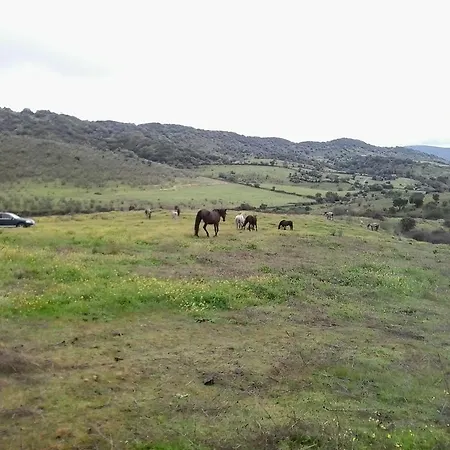 Cortijo De Boyero * Burguillos Del Cerro