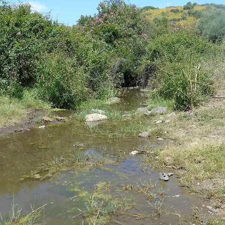 Cortijo De Boyero * Burguillos Del Cerro