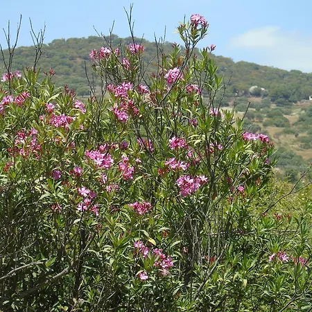 Country house Cortijo De Boyero Burguillos Del Cerro